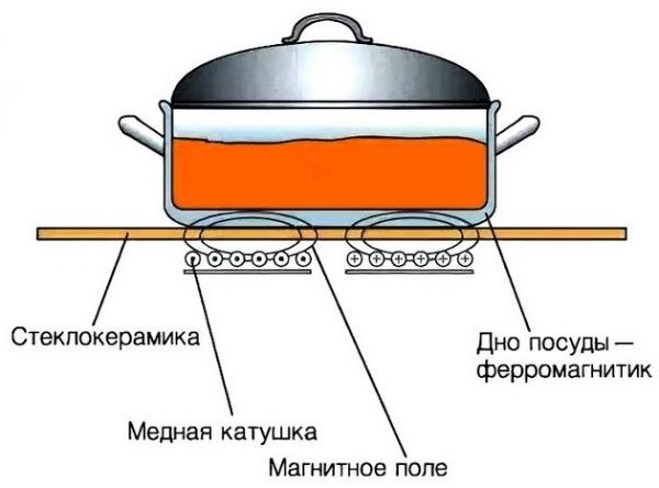 Стеклокерамика или индукционная плита — что лучше выбрать? Рейтинг моделей обеих категорий