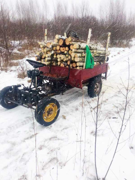 Самодельный Муравей: грузовой квадроцикл